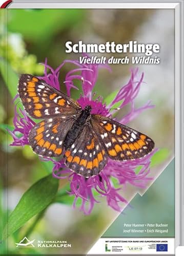 Stock image for Schmetterlinge, Vielfalt durch Wildnis for sale by medimops