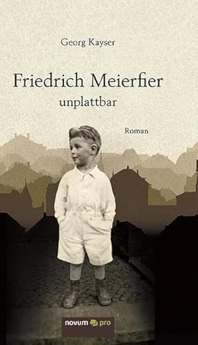 Beispielbild fr Friedrich Meierfier - unplattbar: Roman zum Verkauf von medimops