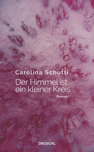 9783990590720: Der Himmel ist ein kleiner Kreis: Roman