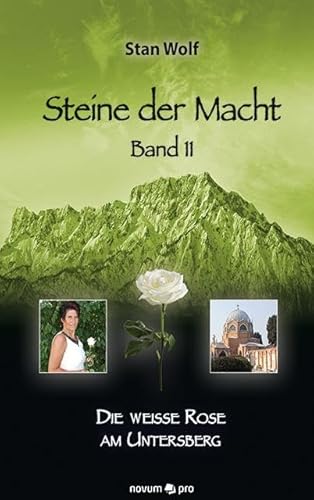 Stock image for Steine der Macht - Band 11 -Language: german for sale by GreatBookPrices