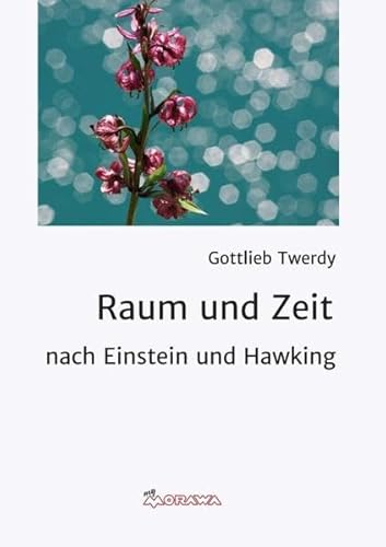 Imagen de archivo de Raum und Zeit: nach Einstein und Hawking a la venta por medimops