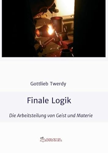 Imagen de archivo de Finale Logik: Die Arbeitsteilung von Geist und Materie a la venta por medimops