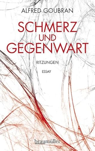 Beispielbild fr Schmerz und Gegenwart: Ritzungen zum Verkauf von medimops