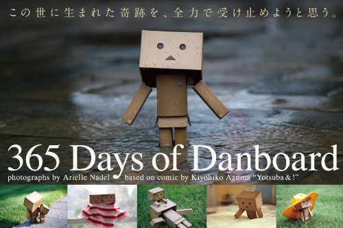Stock image for 365 Days of Danboard for sale by HPB Inc.