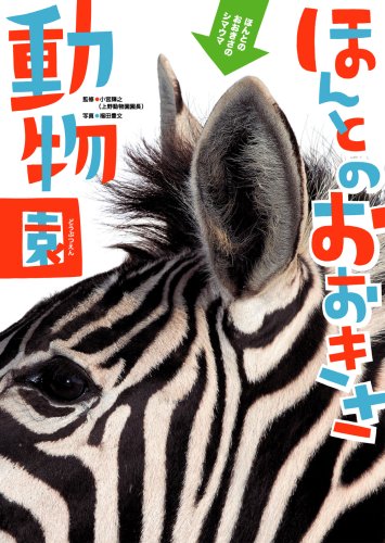 Stock image for Zoo the size of the really ISBN: 4052029305 (2008) [Japanese Import] for sale by GF Books, Inc.
