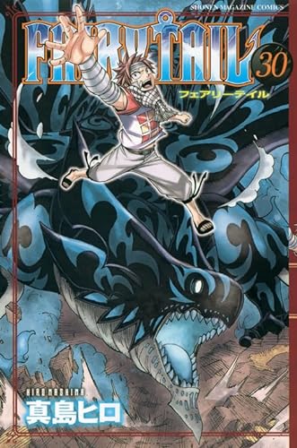 9784063845976: Fairy Tail Vol. 30 (In Japanese)