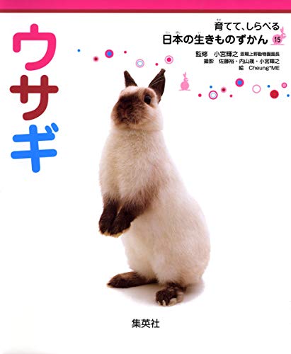 Stock image for Usagi for sale by Revaluation Books