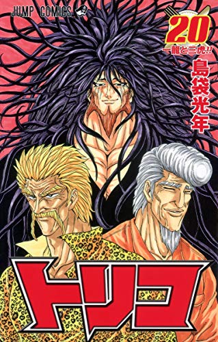 Stock image for TORIKO Vol. 20 (In Japanese) for sale by Revaluation Books