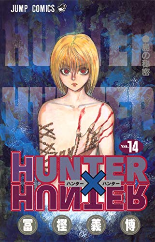 Stock image for Hunter X Hunter, Vol. 14 for sale by Better World Books: West