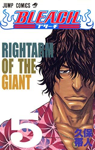Stock image for Bleach, Volume 5 (Japanese Edition) for sale by ThriftBooks-Dallas