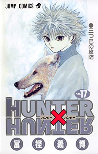 Beispielbild fr Hunter X Hunter, Vol. 17 zum Verkauf von SecondSale