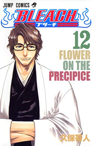 Image d'archives pour Bleach, Volume 12 (Japanese Edition) mis en vente par HPB-Ruby