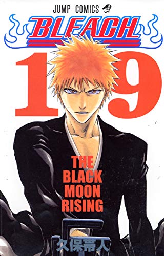 9784088738628: [Bleach 19]