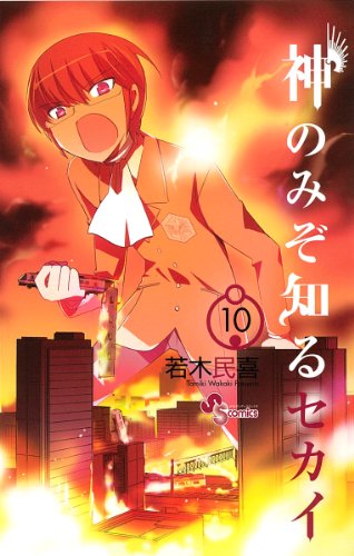 9784091225221: Kami Nomizo Shiru Sekai Vol.10 [In Japanese]