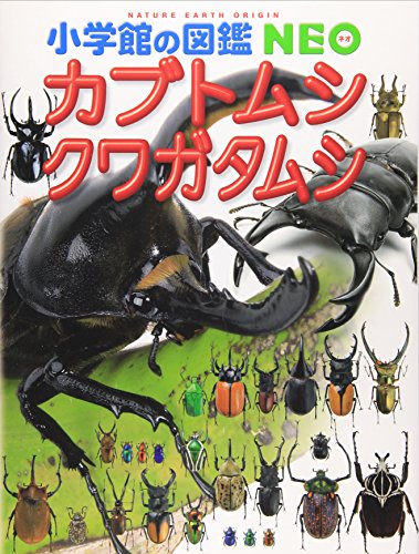 Beispielbild fr Stag beetle (NEO Encyclopedia of Shogakukan) (2006) ISBN: 4092172168 [Japanese Import] zum Verkauf von Bookmans