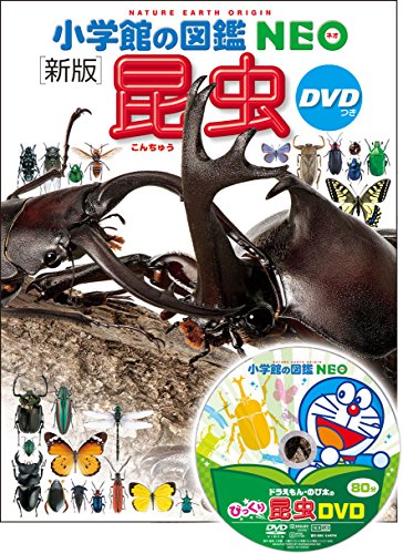 Beispielbild fr (Picture Book NEO Shogakukan) DVD with a New Edition Insect zum Verkauf von GF Books, Inc.