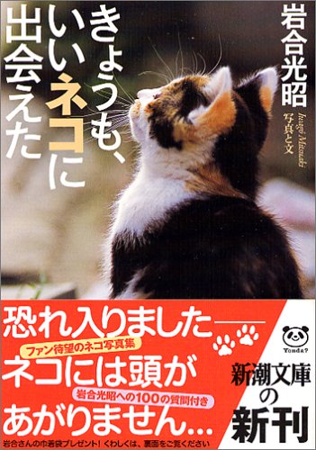 Stock image for Today, it was good to meet cats (Mass Market Paperback) for sale by Half Price Books Inc.