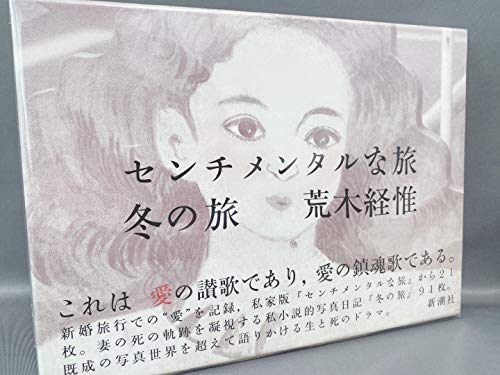 Imagen de archivo de Diary Sentimental Journey (Japanese Edition) a la venta por Byrd Books