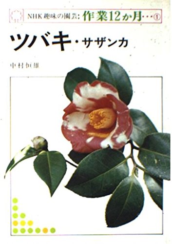 Stock image for 1 camellia sasanqua-month gardening work 12 NHK hobby (1975) ISBN: 414040020X [Japanese Import] for sale by GF Books, Inc.