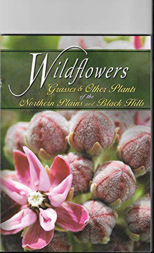 Beispielbild fr Wildflowers & Grasses & Other Plants of the Northern Plains and Black Hills zum Verkauf von WorldofBooks
