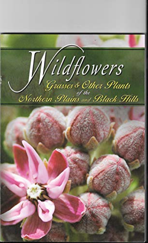 Stock image for Wildflowers & Grasses & Other Plants of the Northern Plains and Black Hills for sale by Better World Books