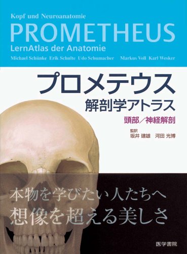 Kopf Und Neuroanatomie Prometheus Lernatlas Der Anatomie