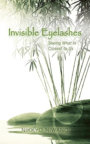 Imagen de archivo de Invisible Eyelashes: Seeing What Is Closest to Us a la venta por SecondSale