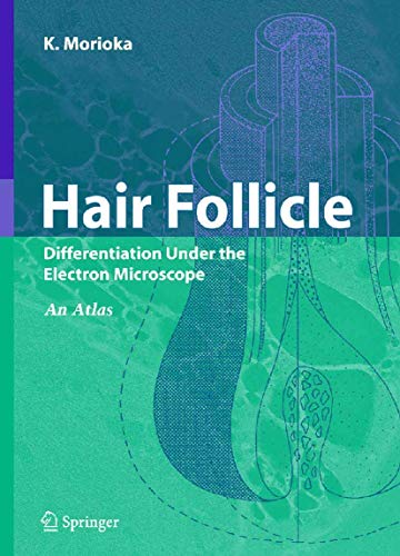 9784431224297: Hair Follicle: Differentiation under the Electron Microscope - An Atlas