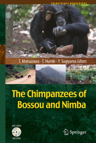 9784431539209: The Chimpanzees of Bossou and Nimba (Primatology Monographs)
