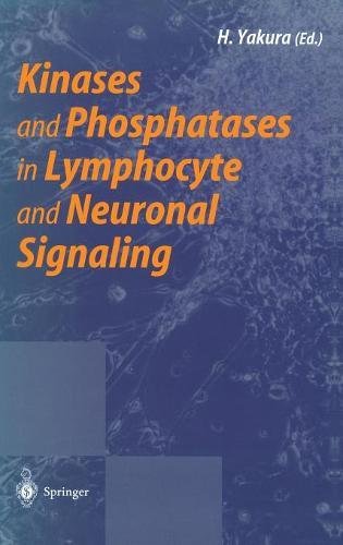 9784431702016: Kinases and Phosphatases in Lymphocyte and Neuronal Signaling