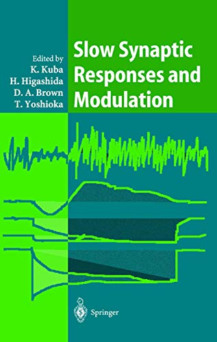 Stock image for Slow Synaptic Responses and Modulation for sale by Revaluation Books