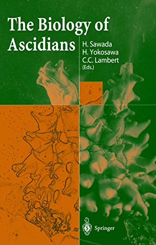 9784431702962: The Biology of Ascidians