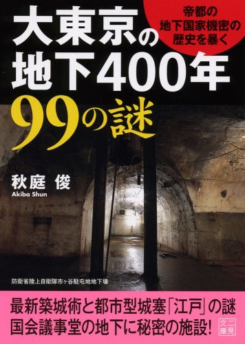 Stock image for Daito   kyo    no chika 400nen 99 no nazo for sale by WorldofBooks