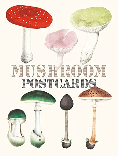 Imagen de archivo de Mushroom Postcards a la venta por PBShop.store US