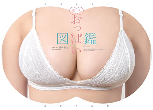 OPPAI ZUKAN 原寸大おっぱい図鑑 The Actual size boobs book full-scale visual  dictionary [PHOTO BOOK - JAPANESE EDITION] - Yuji Susaki: 9784758015677 -  AbeBooks