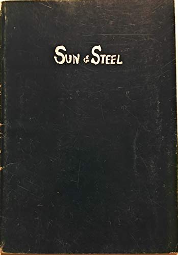 9784770029034: Sun and Steel