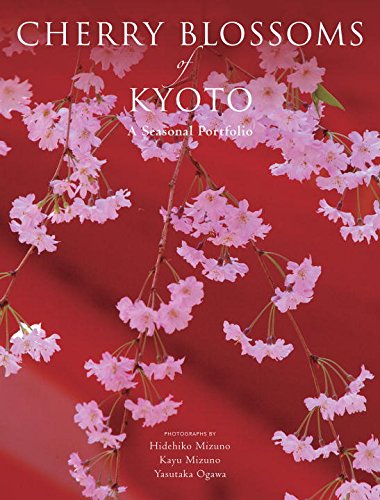 Stock image for Cherry Blossoms of Kyoto: A Seasonal Portfolio for sale by Wonder Book