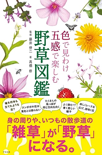 Stock image for Iro de miwake gokan de tanoshimu yaso zukan. for sale by Revaluation Books