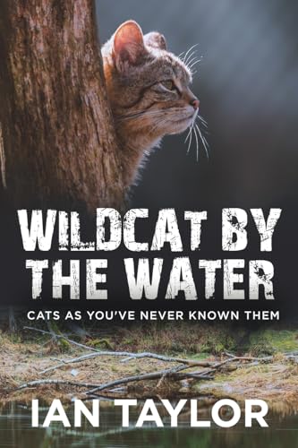 Immagine stock per Wildcat By The Water: Cats As You've Never Known Them