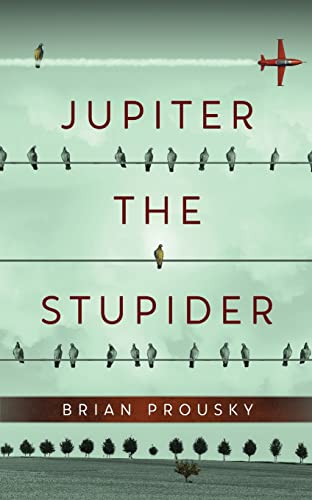 Imagen de stock para Jupiter the Stupider