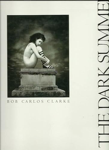 Stock image for The Dark Summer for sale by MK books