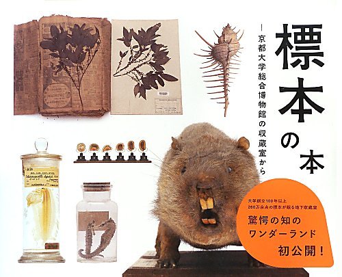 9784861523854: Collection Specimens Of The Kyoto University Museum (Japanese Edition)