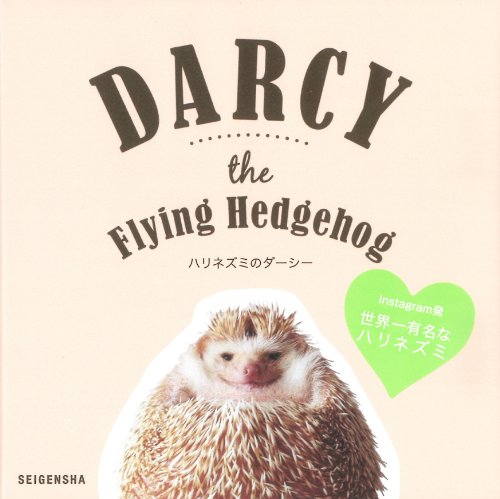 Beispielbild fr Darcy the Flying Hedgehog zum Verkauf von WorldofBooks