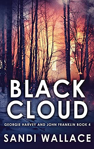 9784867451533: Black Cloud (4): Large Print Hardcover Edition (Georgie Harvey and John Franklin)