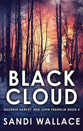 9784867451533: Black Cloud: Large Print Hardcover Edition: 4