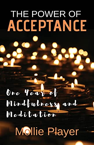 Beispielbild fr The Power Of Acceptance: One Year Of Mindfulness And Meditation zum Verkauf von GreatBookPrices