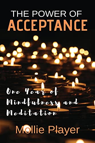 Beispielbild fr The Power Of Acceptance: One Year Of Mindfulness And Meditation zum Verkauf von ThriftBooks-Atlanta