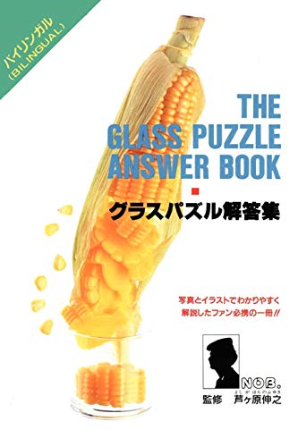 Beispielbild fr The Glass Puzzle Answer Book zum Verkauf von Revaluation Books