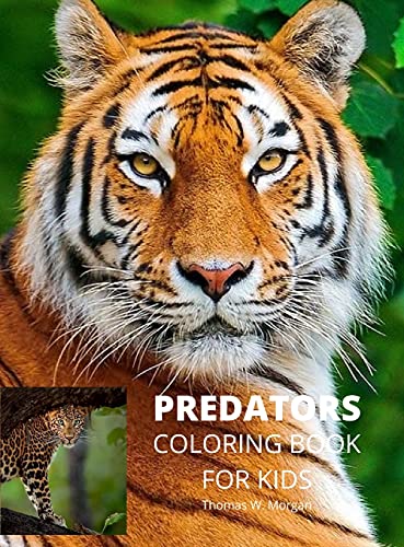 Beispielbild fr Predators Coloring Book for Kids: Wildlife Animal Coloring Book for Kids Ages 3 and Up Funny Learning Coloring and Activity Book for Boys, Girls and K zum Verkauf von Buchpark