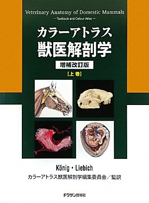 Stock image for Veterinary Anatomy of Domestic Mammals Textbook and Colour Atlas [Language: JAPANESE Sprache: JAPANISCH] Prof. Dr. Horst Erich Knig vet Prof. Dr. Hans-Georg Liebich veterinary practices topographic view locomotor apparatus, organ's systems, circulatory and nervous systems, sensory organs, skin and its organs veterinary clinic practice anatomical structures anatomy of mammals Anatomie Veterinrmedizin Haustiere Veterinrmedizin Sugetiere Veterinrmedizin Tierrmedizin Tierheilkunde for sale by BUCHSERVICE / ANTIQUARIAT Lars Lutzer